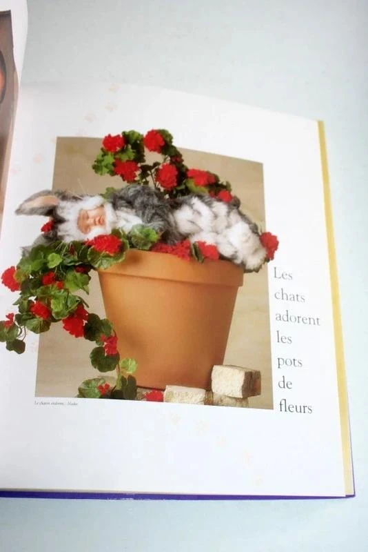 Boek "De tuin van de feeën" van Anne Geddes – photo 5